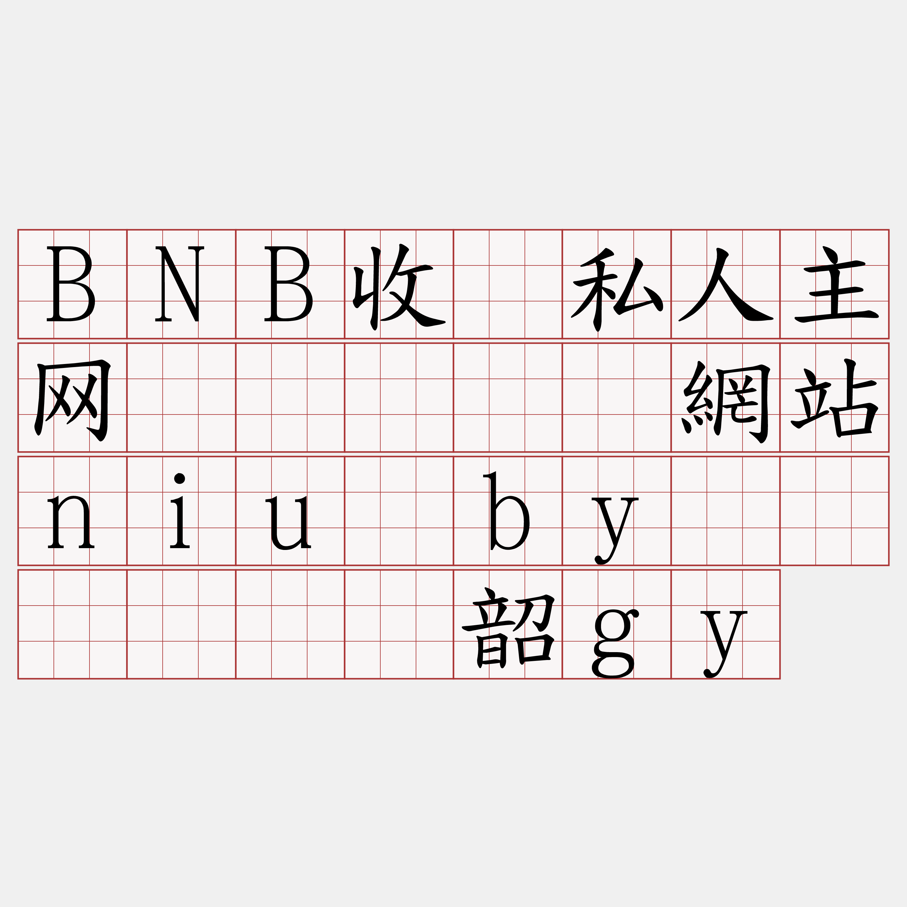 BNB收费私人主网节点『🍀網站niu·by🍀』】绿贤韶gy