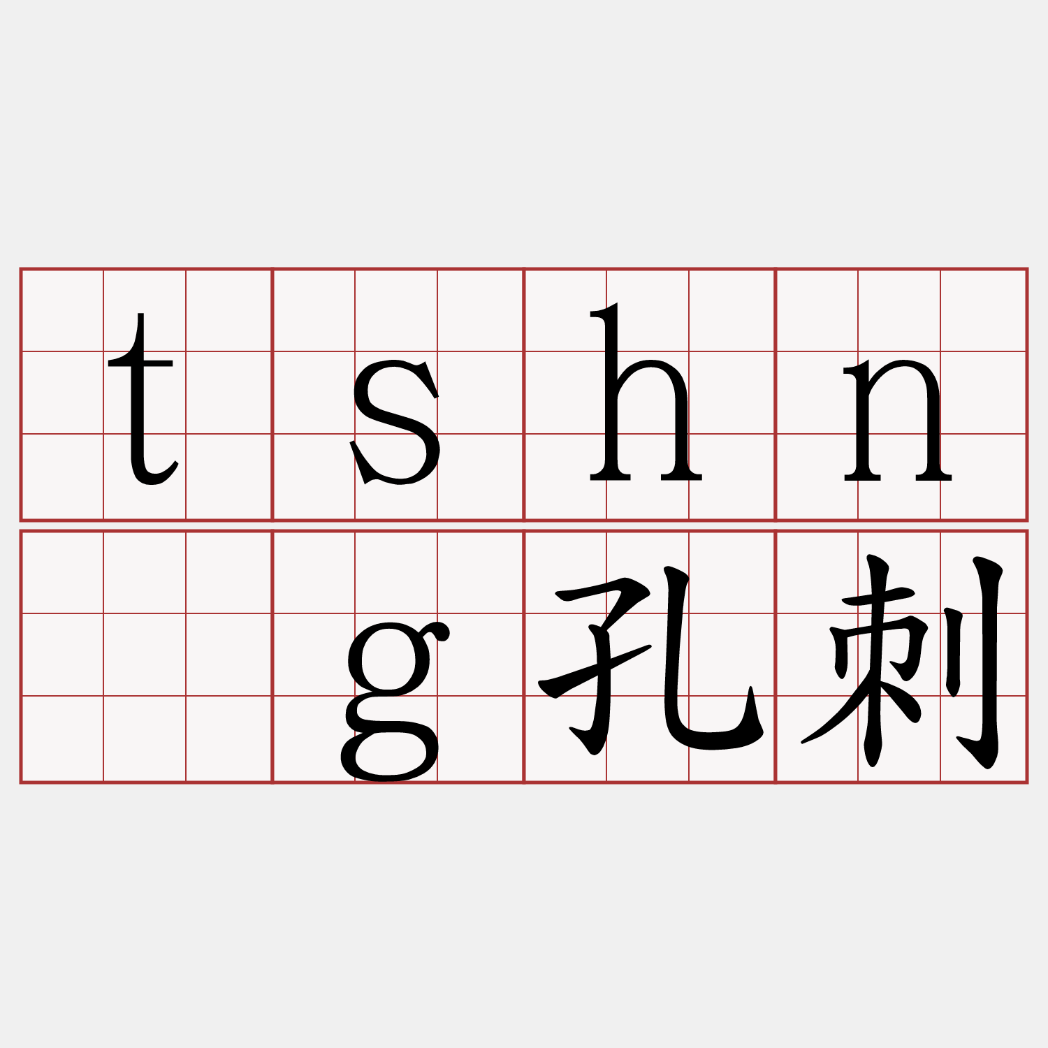 tshńg孔刺