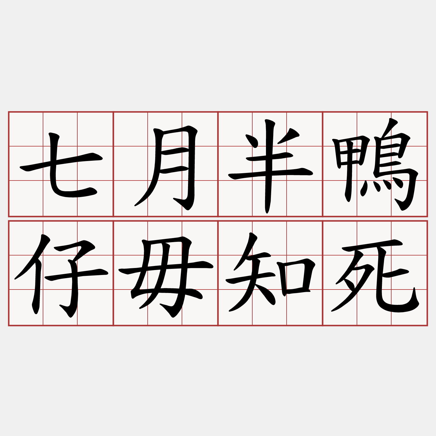 七月半鴨仔毋知死