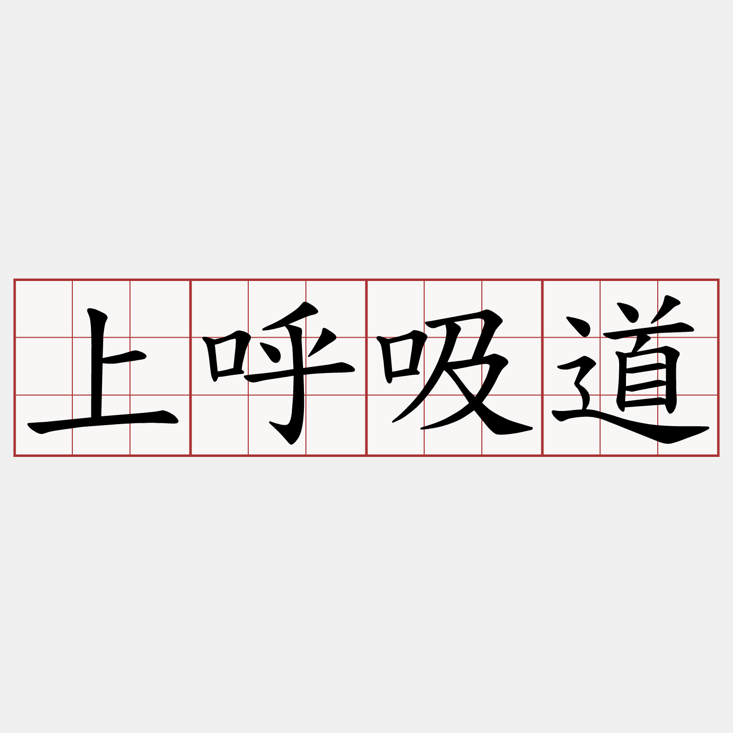 上呼吸道