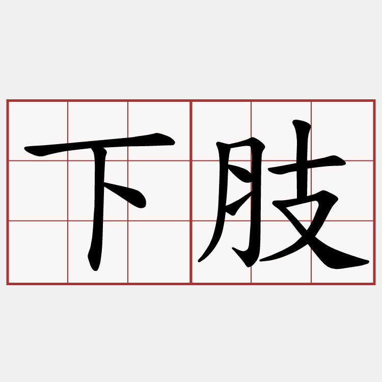 下肢