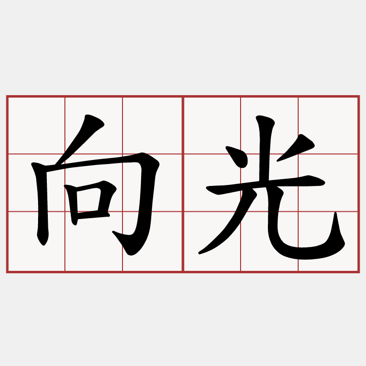 向光