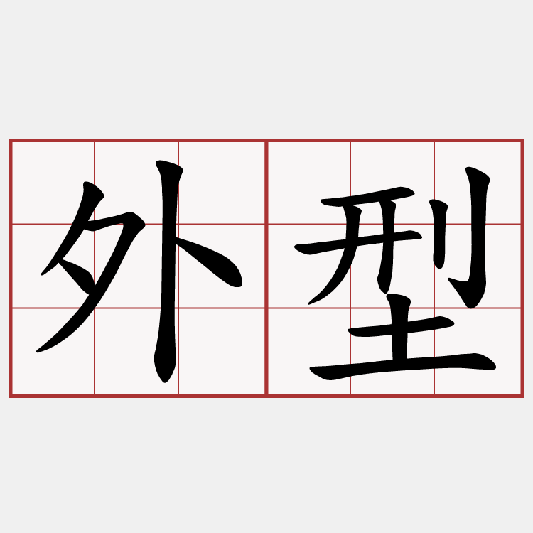 外型
