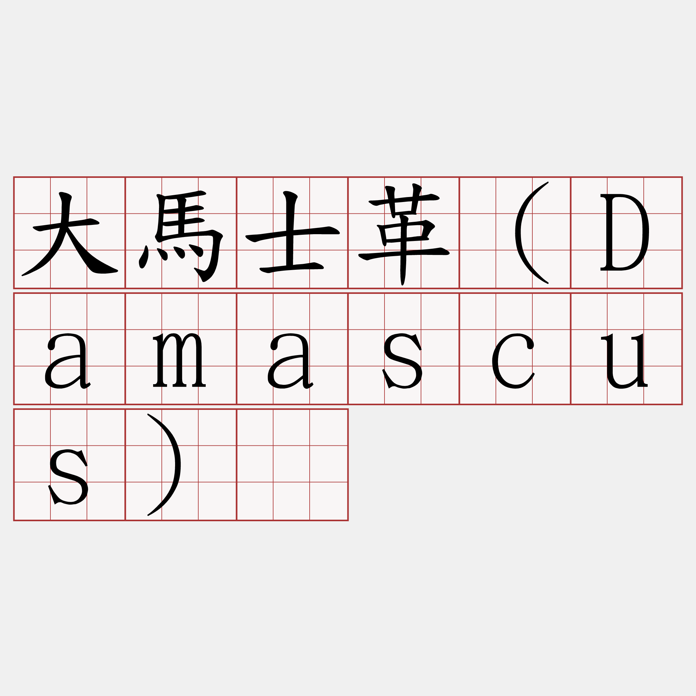 大馬士革（Damascus）​