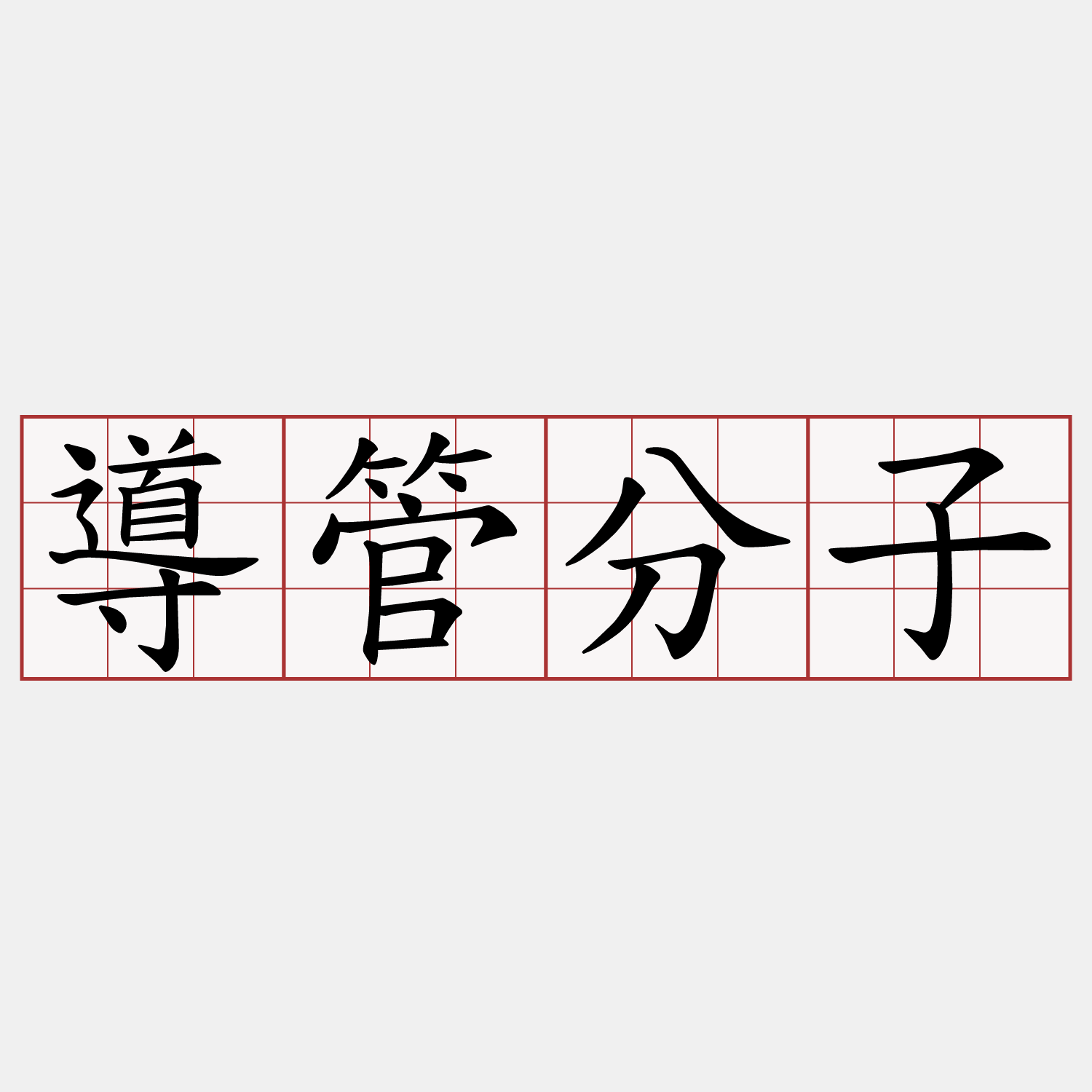 導管分子