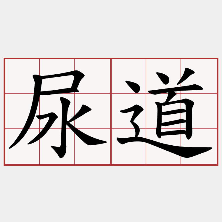 尿道