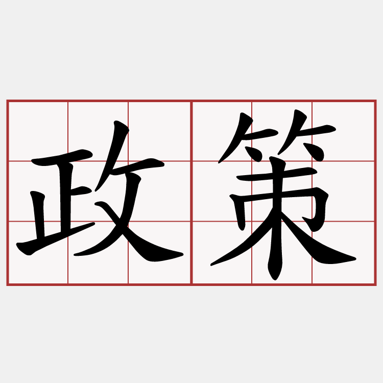 政策