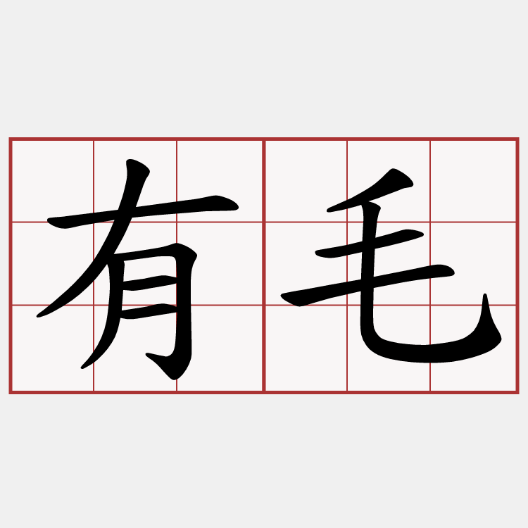 有毛