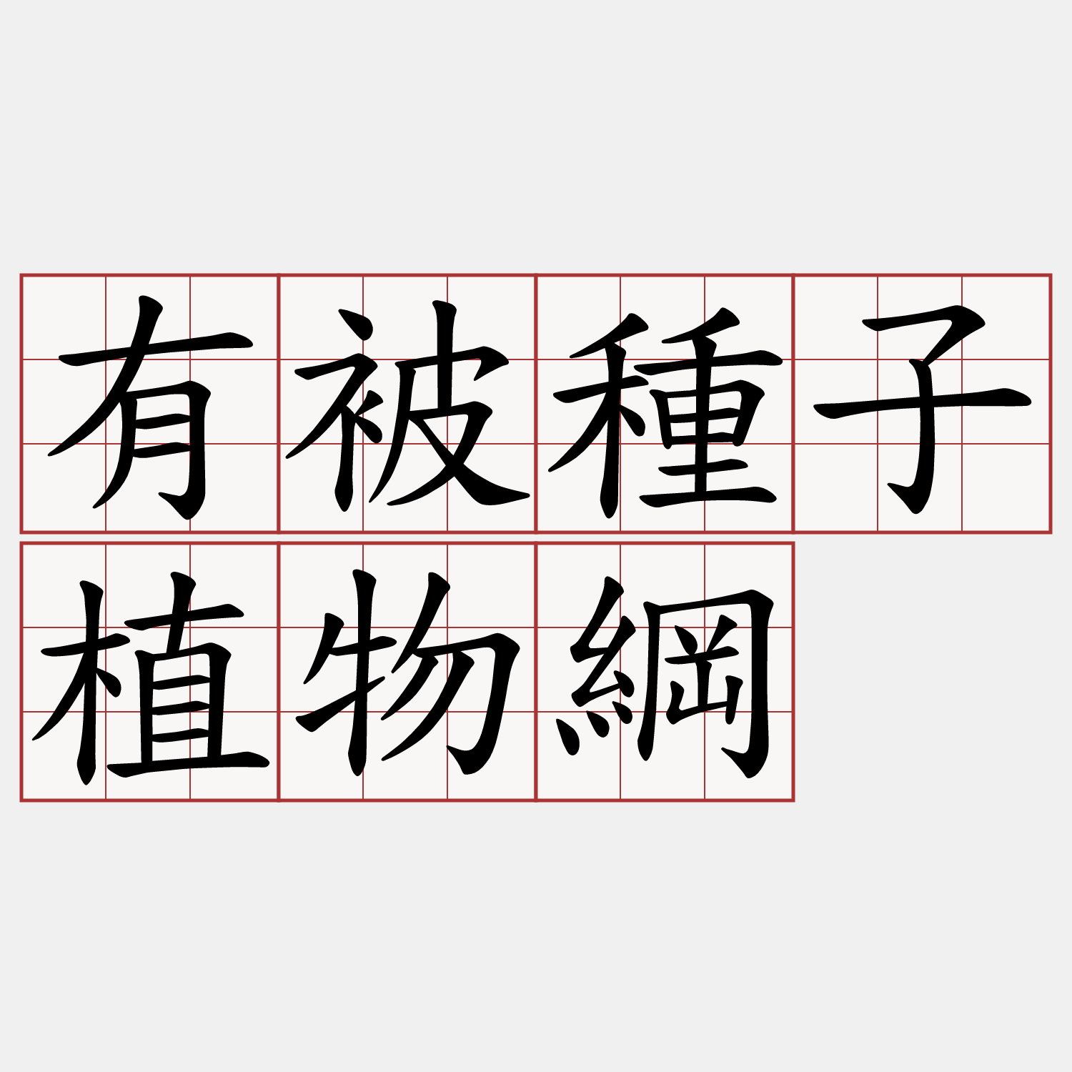 有被種子植物綱