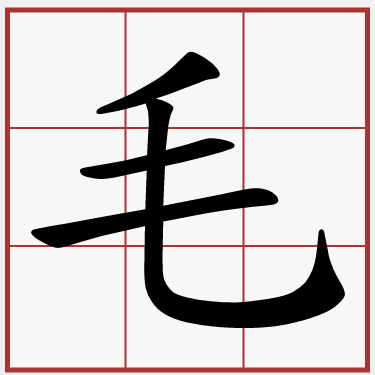 毛