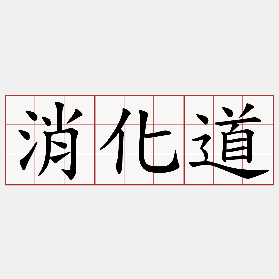 消化道