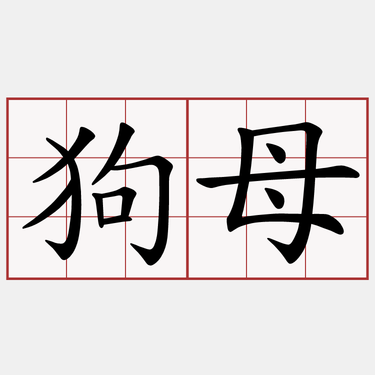 狗母