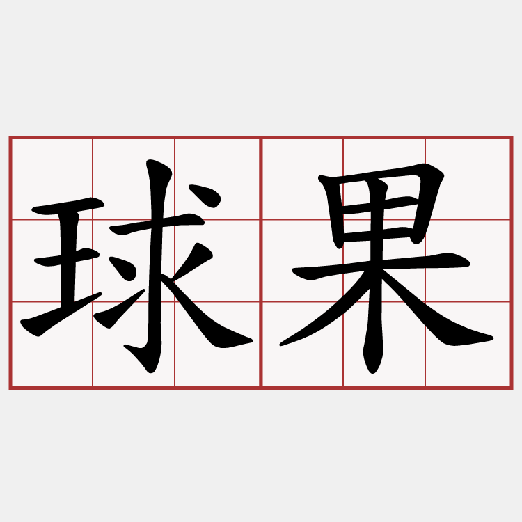 球果