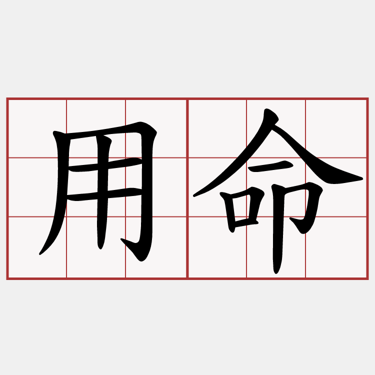 用命