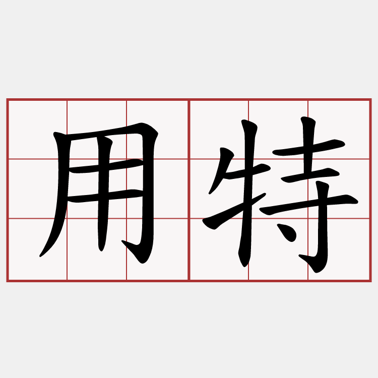用特