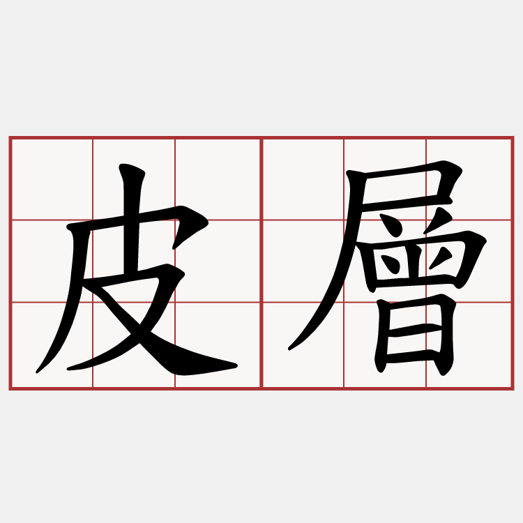 皮層