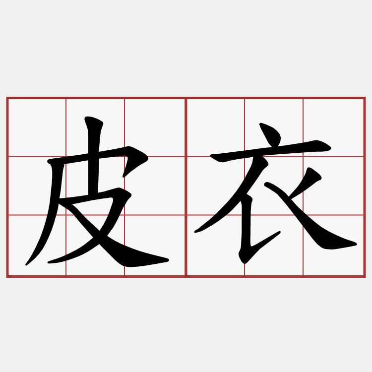 皮衣