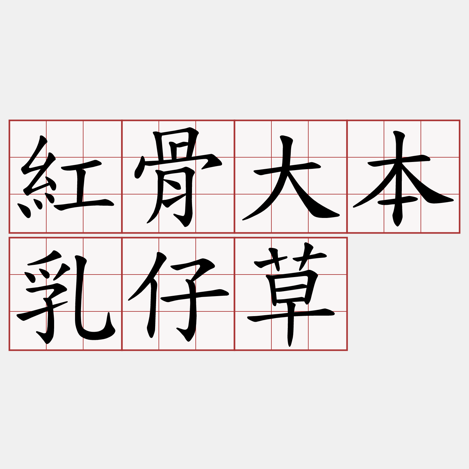 紅骨大本乳仔草