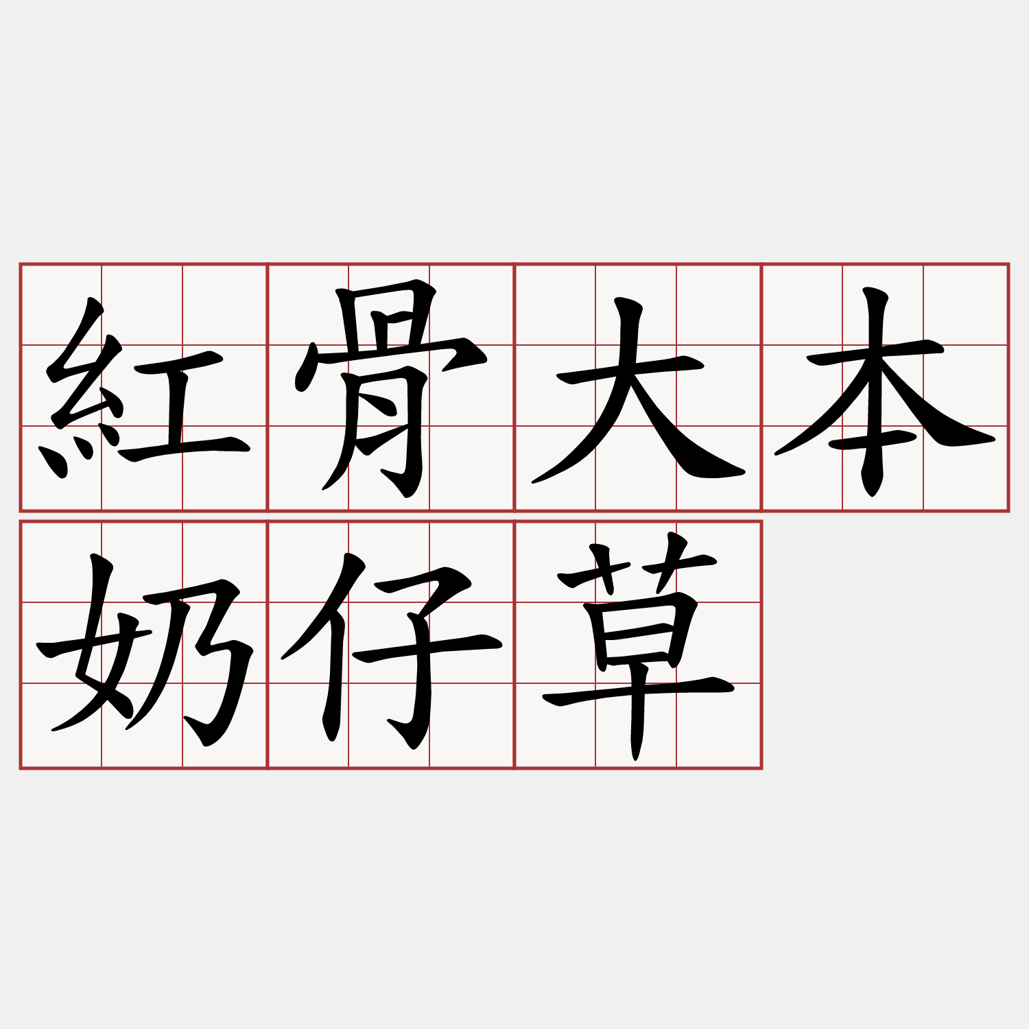 紅骨大本奶仔草