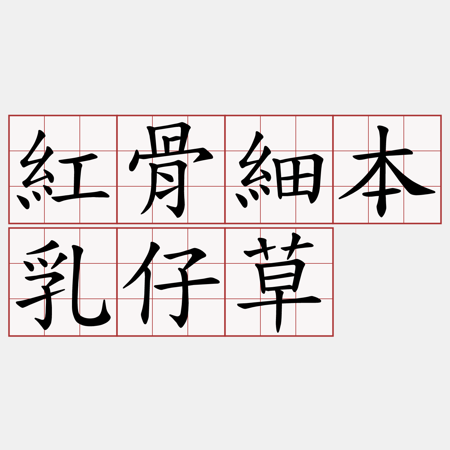 紅骨細本乳仔草