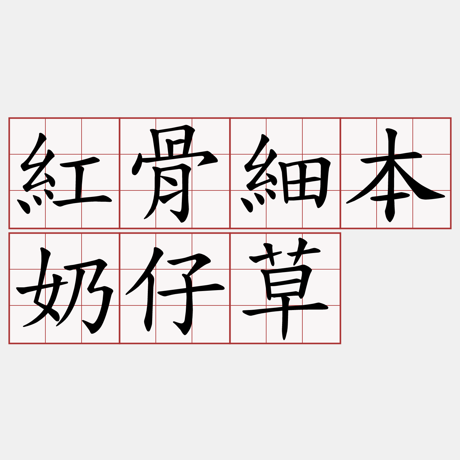 紅骨細本奶仔草