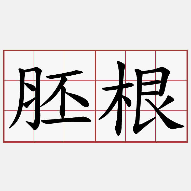 胚根