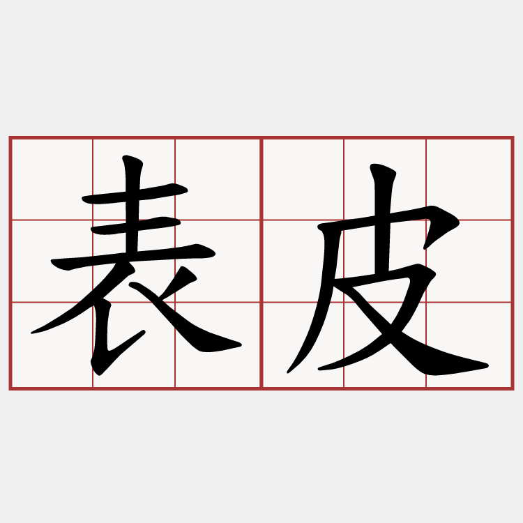 表皮