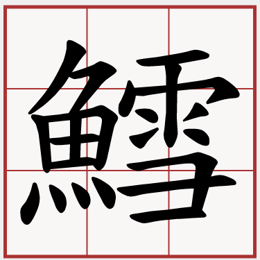 鱈